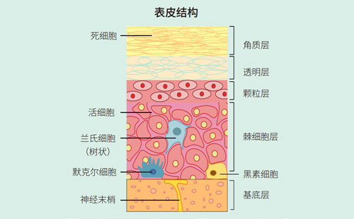 为什么皮肤会产生白色痕迹?