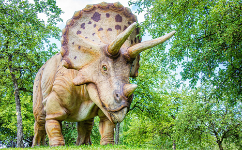“Dinosaur”在中文里为什